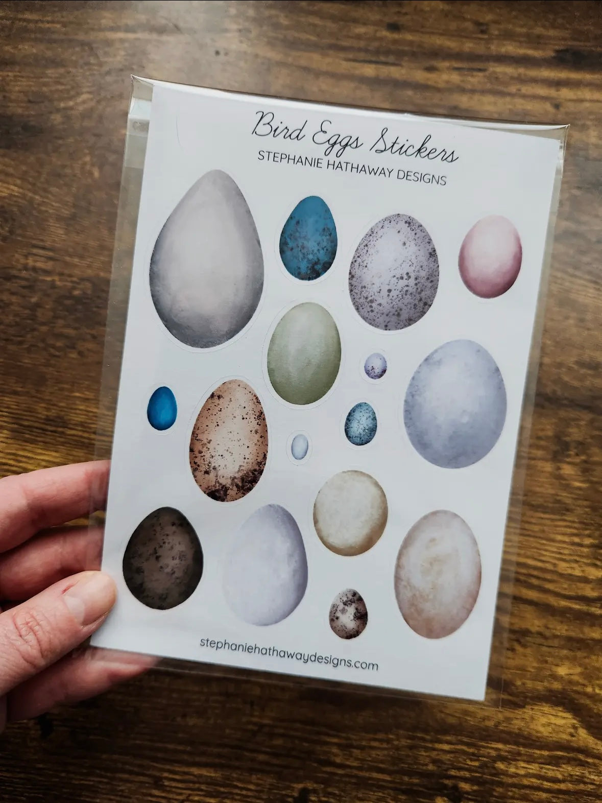 Bird Eggs Stickers Sticker Sheet by Stephanie Hathaway