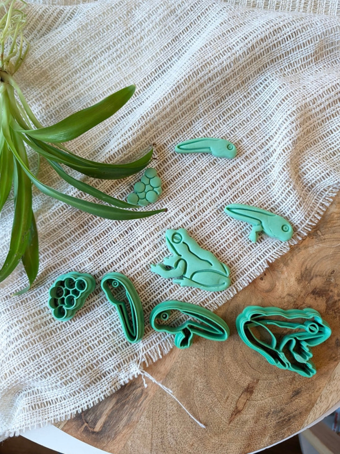 Frog Life Cycle Eco Dough Cutter Set by T. C. Play