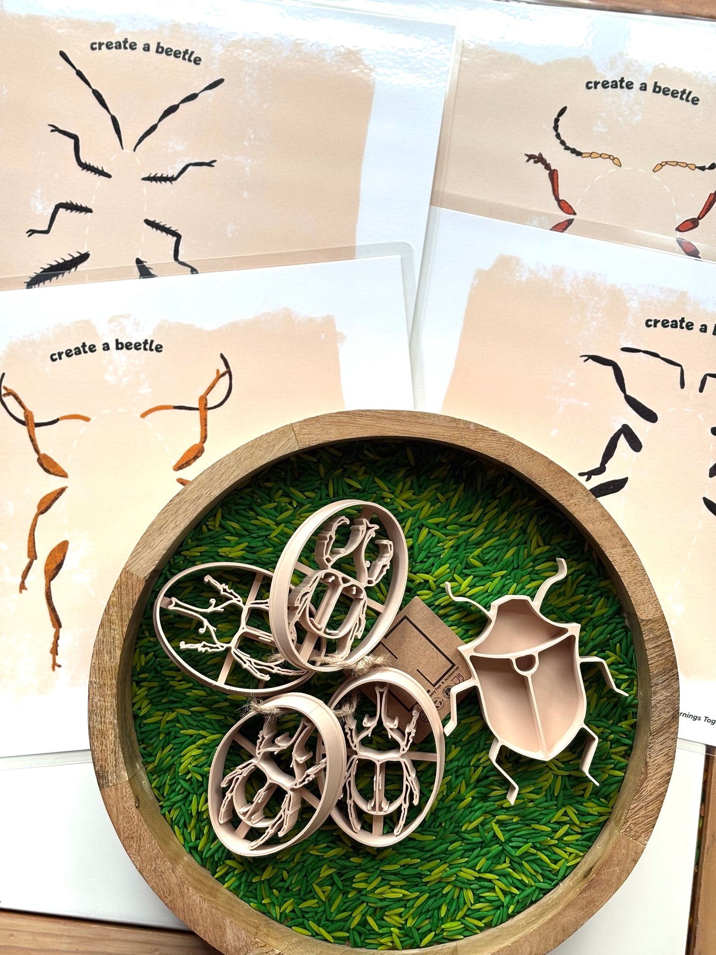 Create a Beetle Activity Bundle