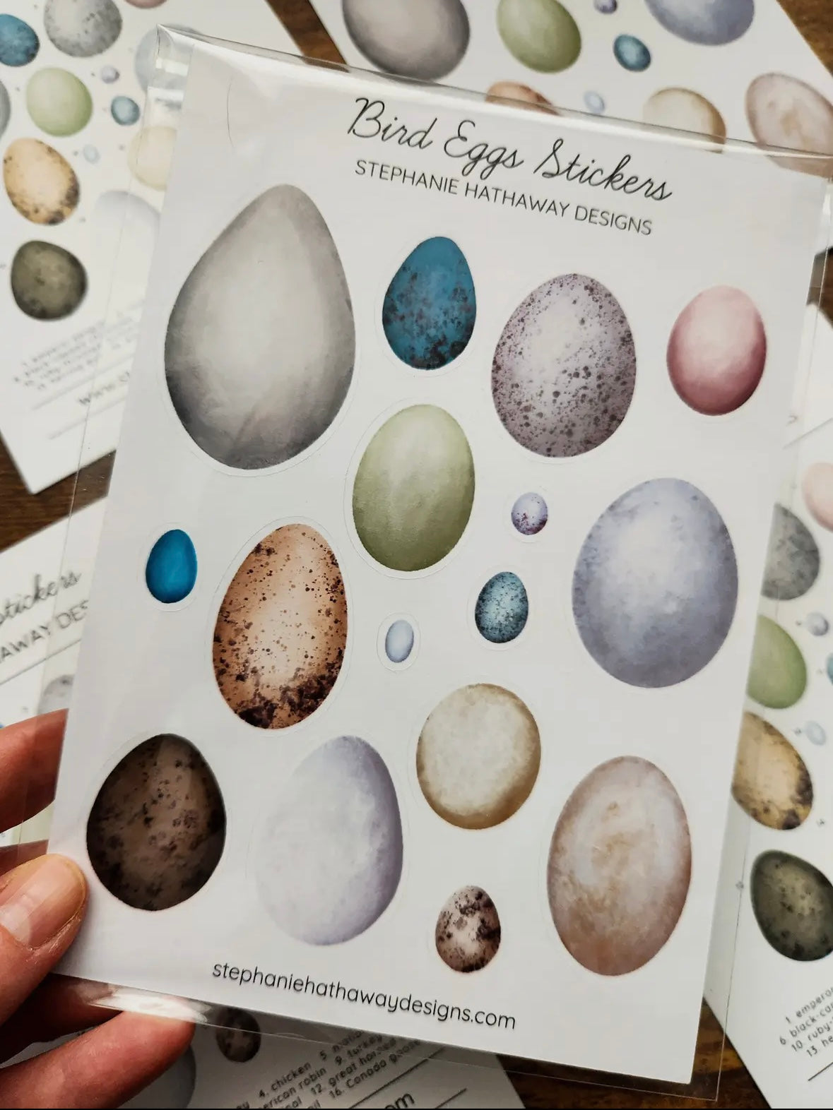 Bird Eggs Stickers Sticker Sheet by Stephanie Hathaway