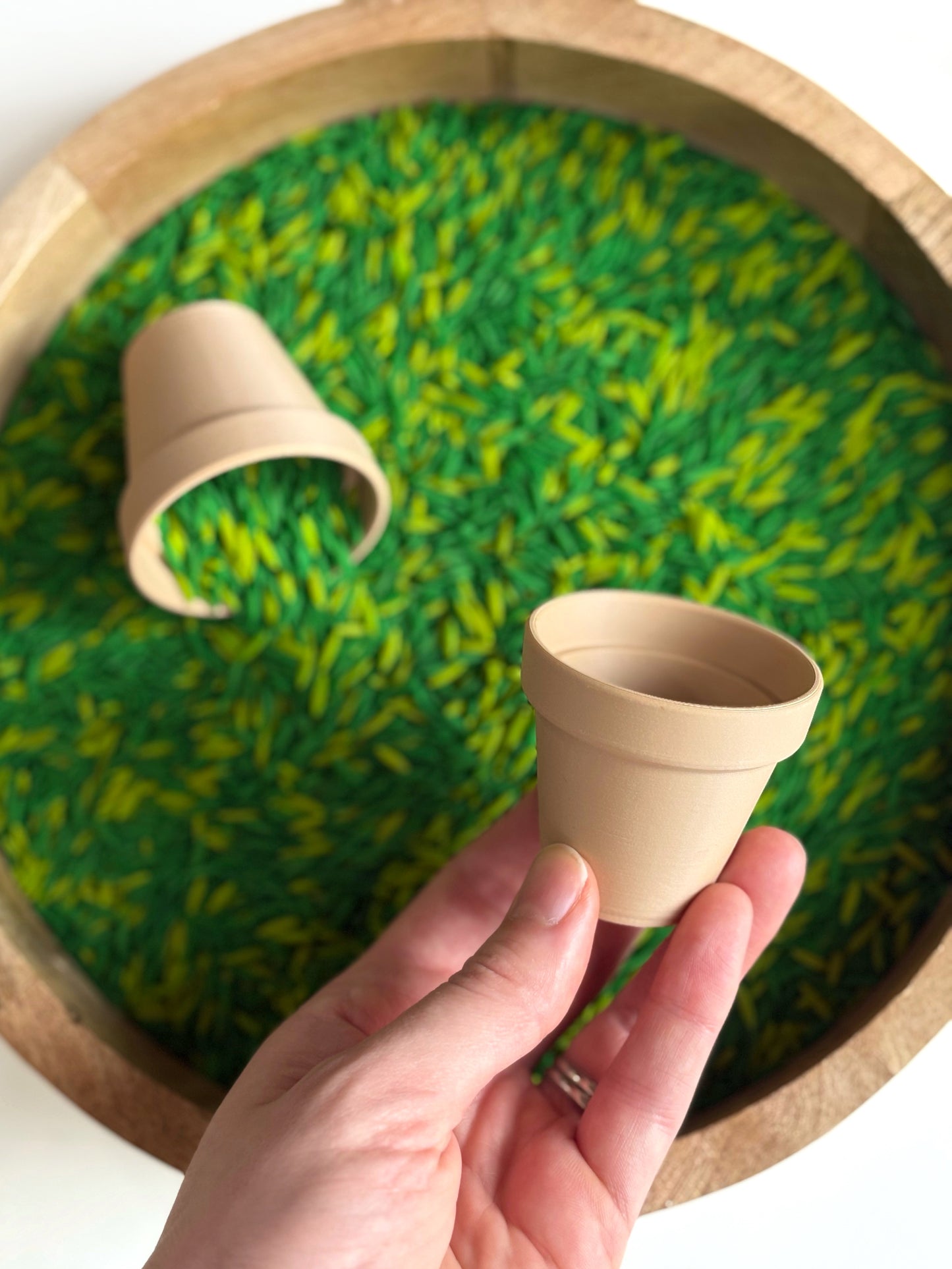 Eco Flower Pot by T. C. Play