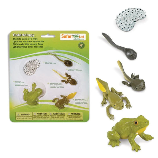 Safari Ltd. Life Cycle of a Frog