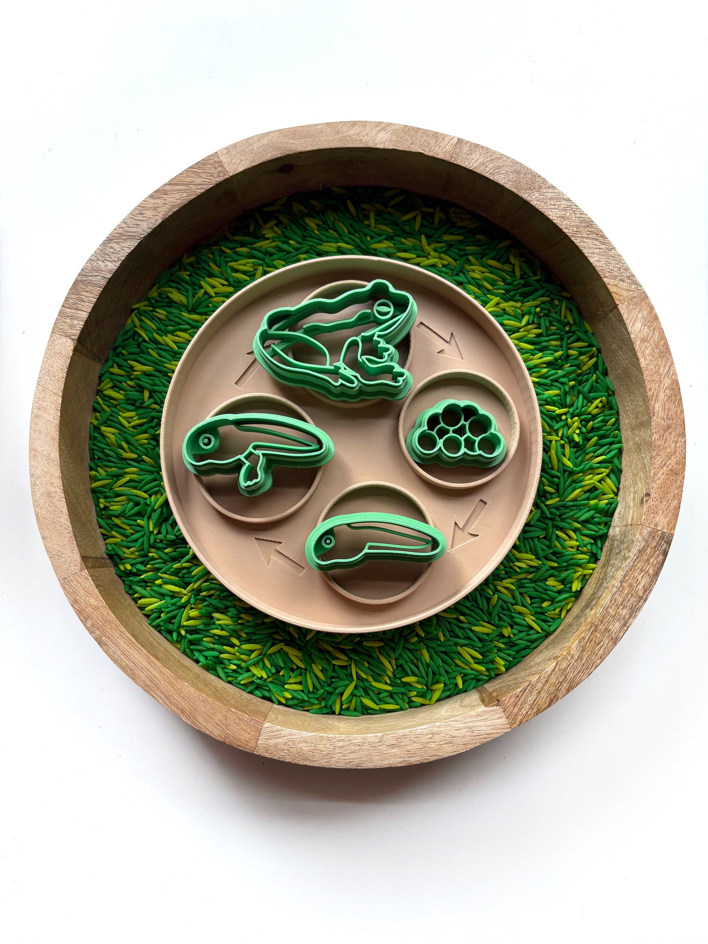 Frog Life Cycle Eco Dough Cutter Set by T. C. Play