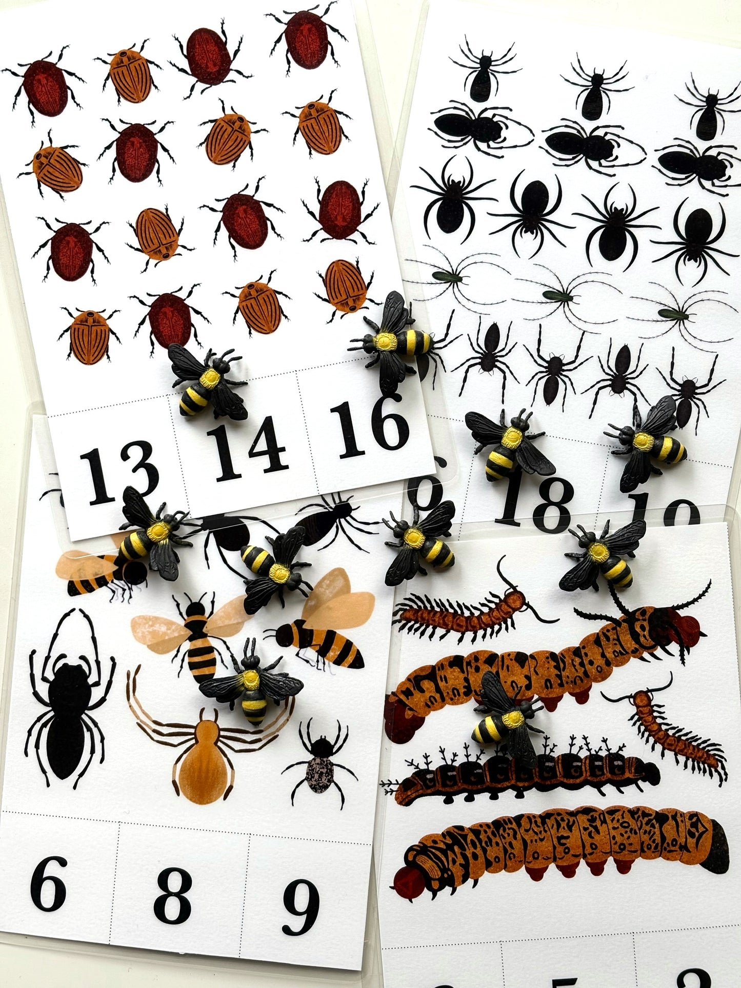 Bug Counting Bundle