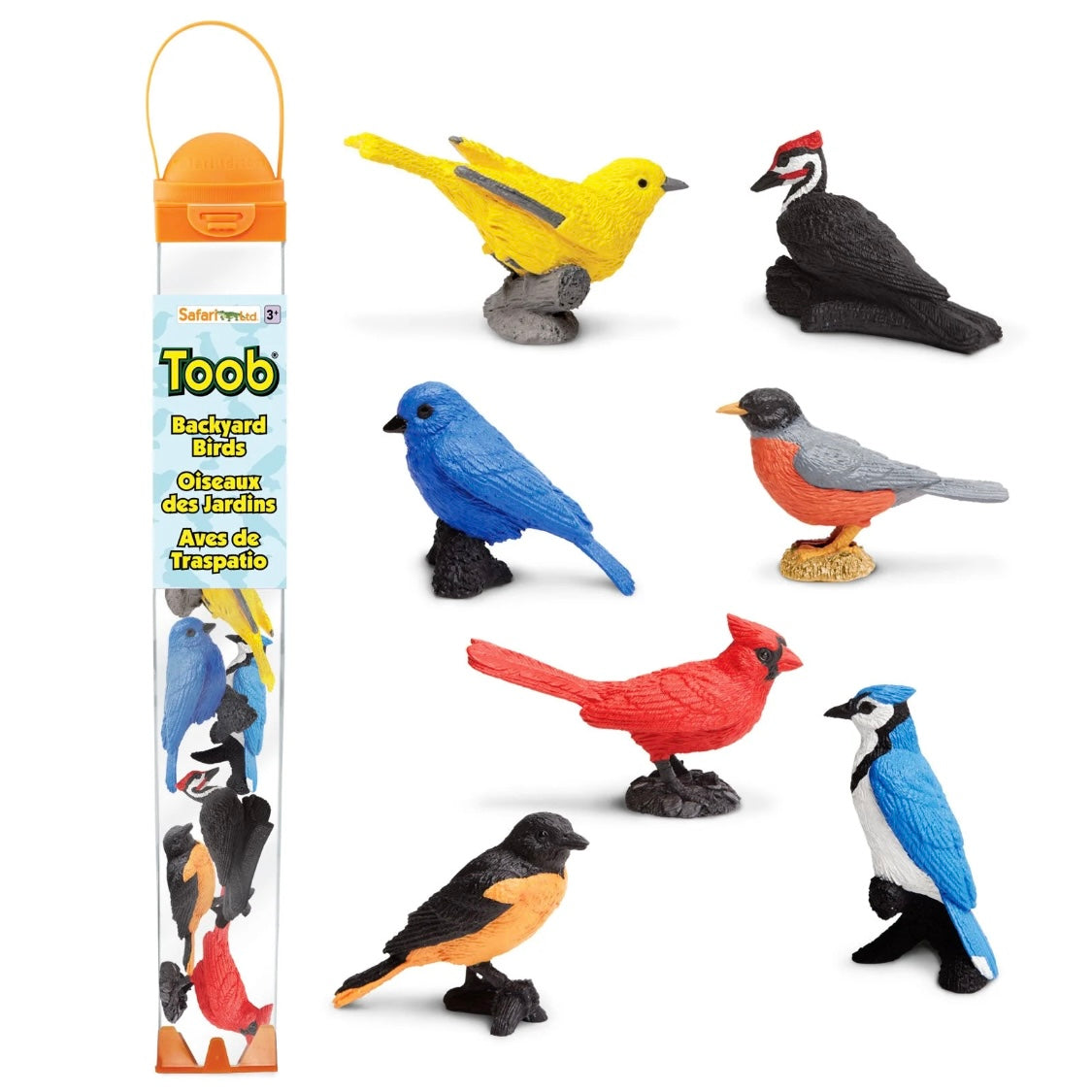 Safari Ltd. Backyard Birds TOOB®