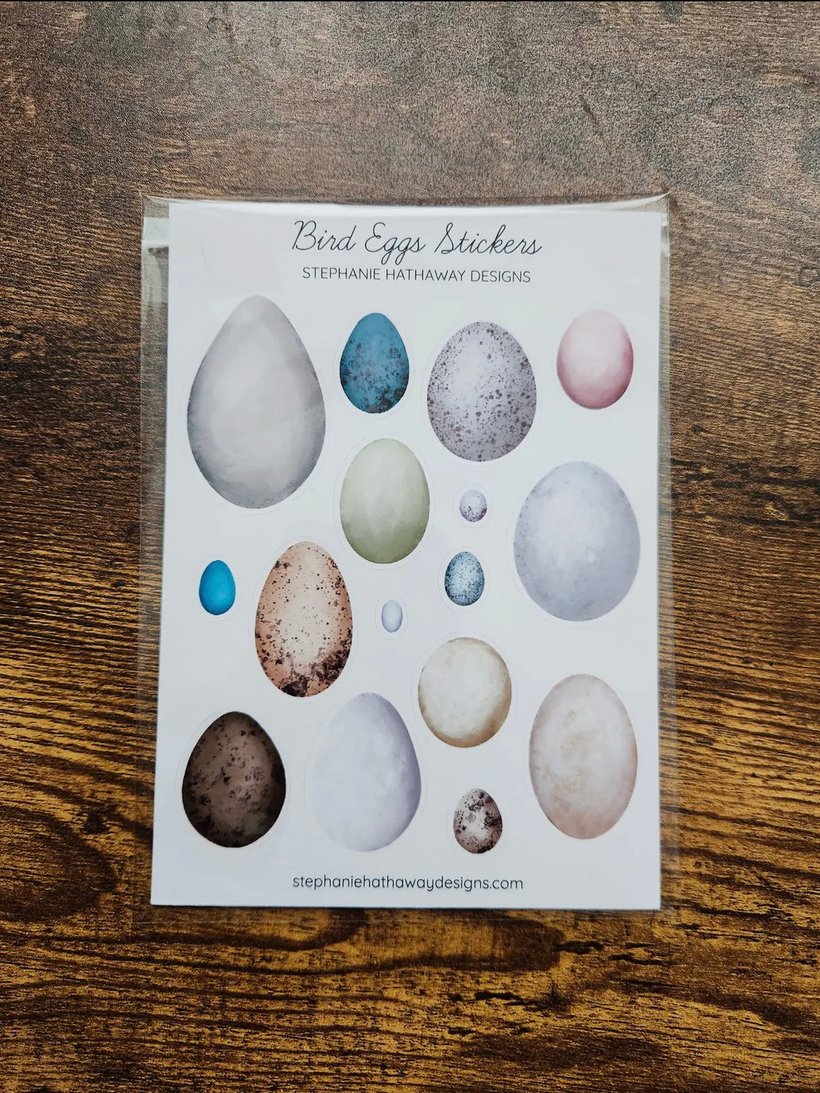 Bird Eggs Stickers Sticker Sheet by Stephanie Hathaway