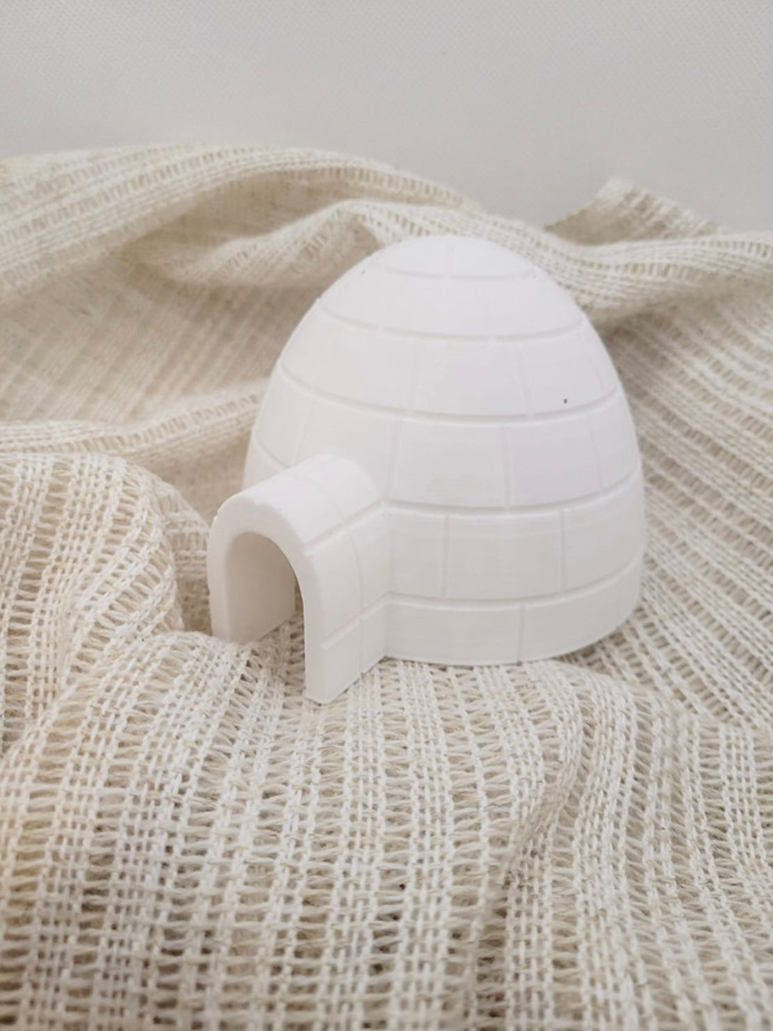 3D Printed Eco Igloo by T. C. Play