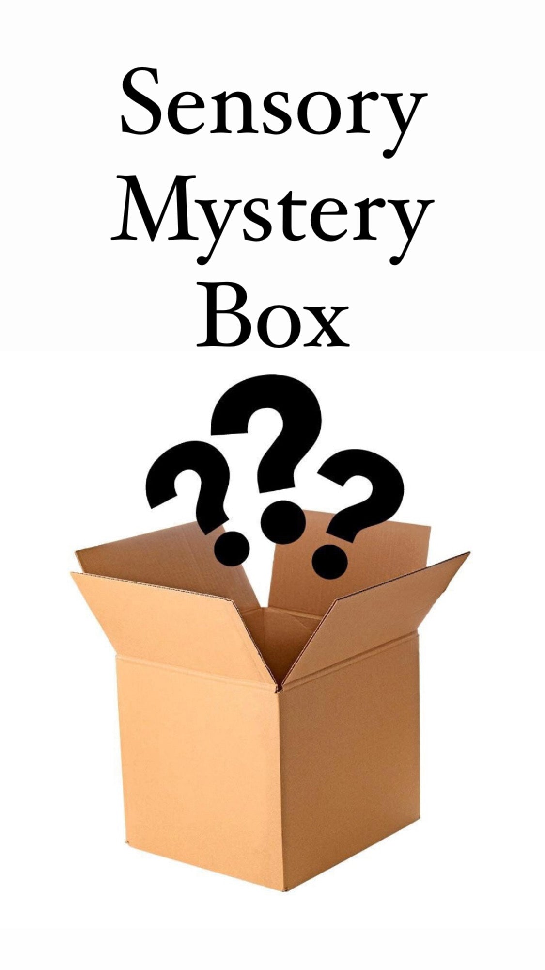Sensory Play Mystery Box