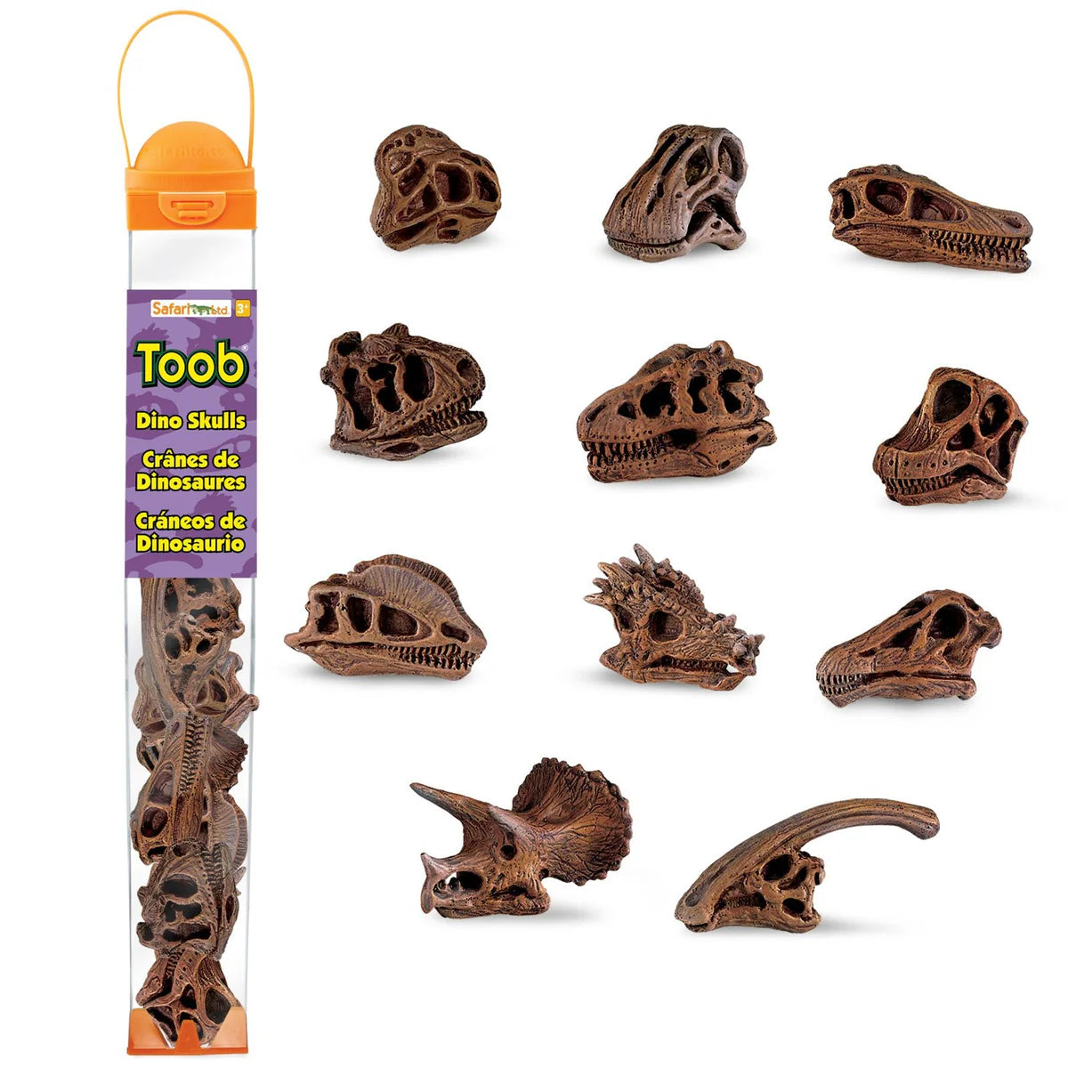 Safari Ltd. Dinosaur Skulls TOOB®