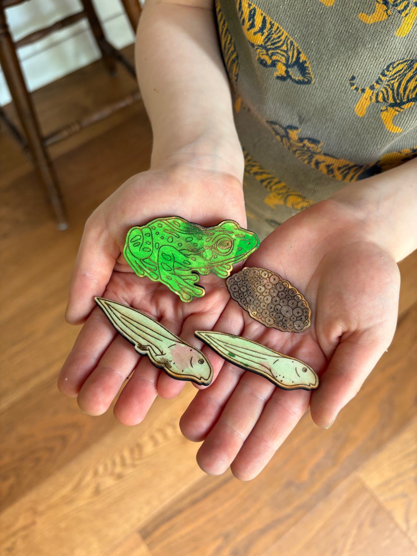 Frog Lifecycle Wood Cutouts
