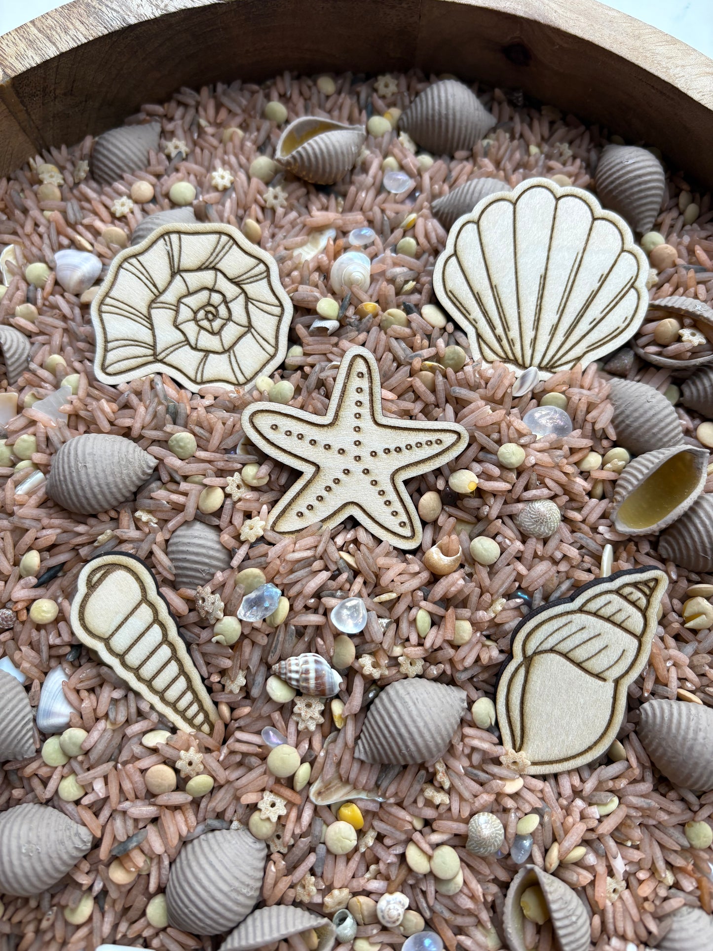 Wood Seashell Cutouts