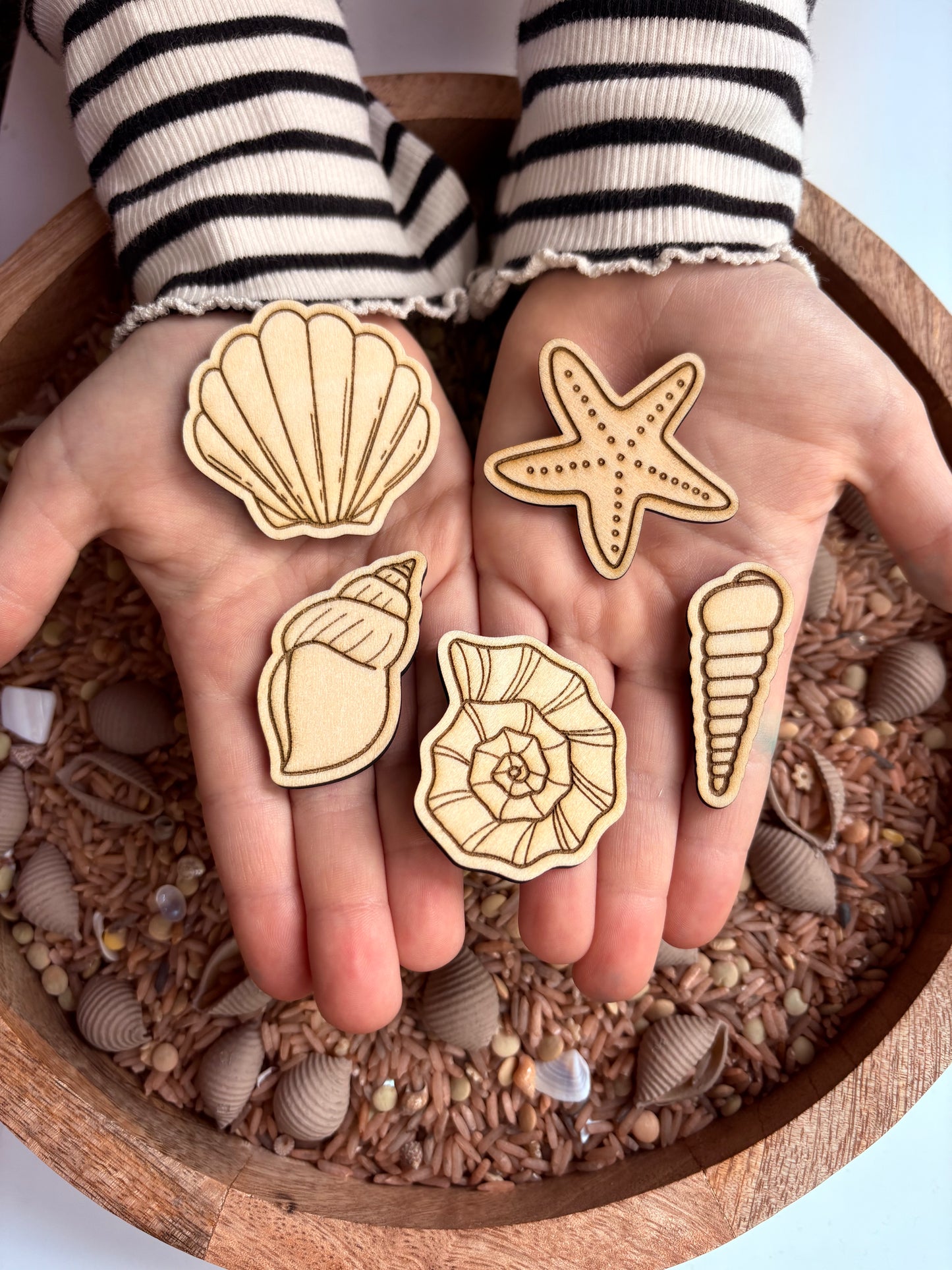 Wood Seashell Cutouts