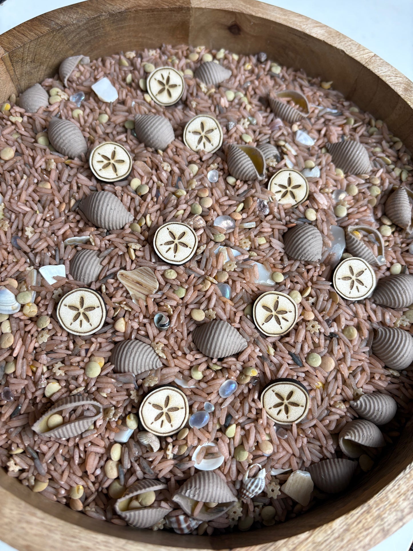 Mini Wood Sand Dollar Sensory Fillers